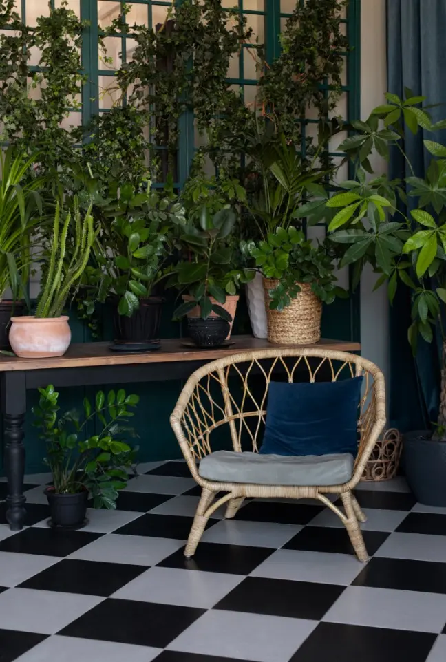 Plant Rental