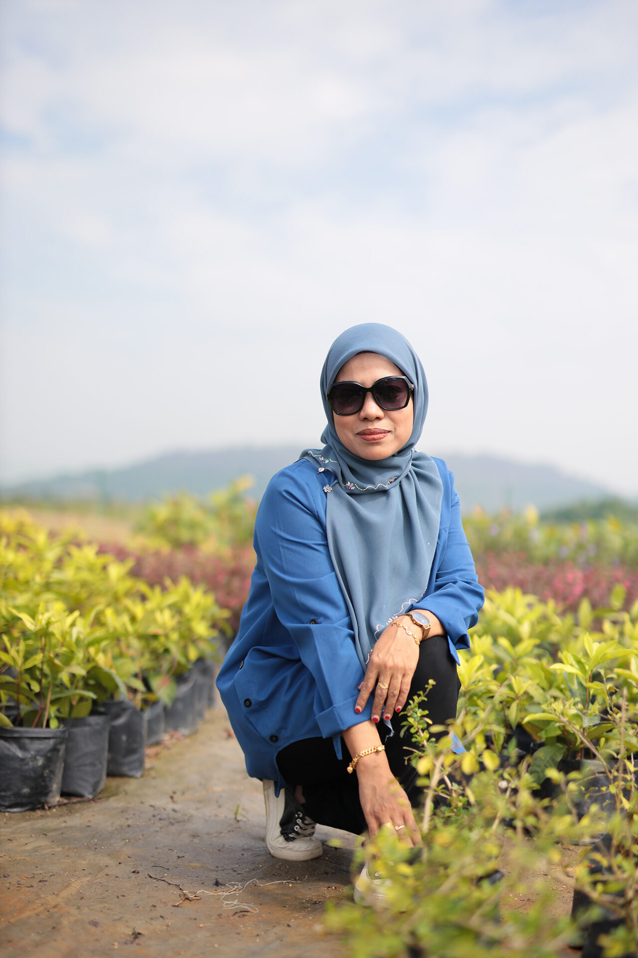 Image hover effect image