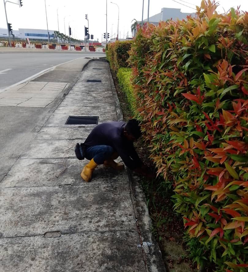 Landscape Maintenance