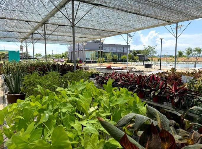 Plant Nursery