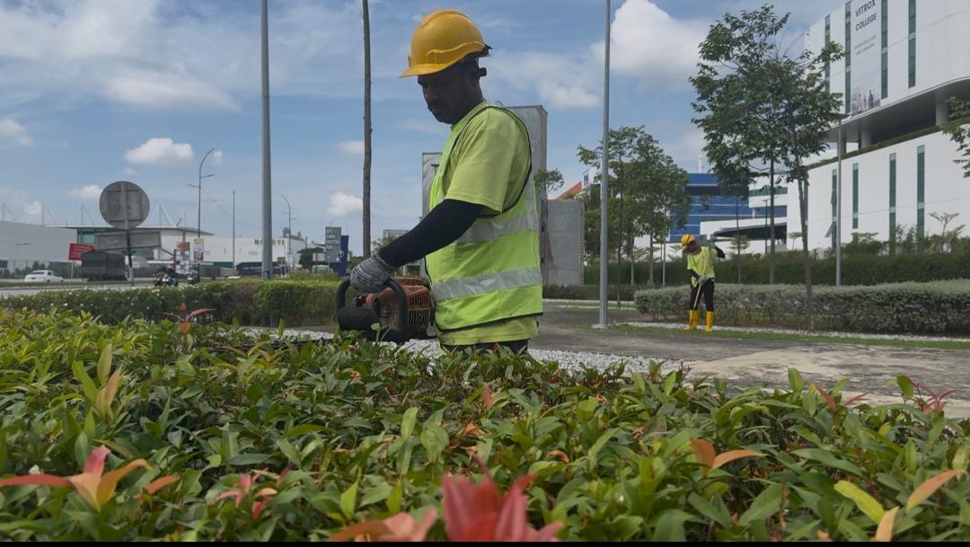 Landscape Maintenance